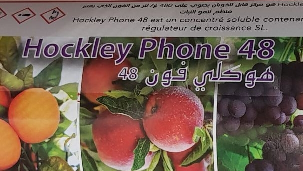 Hockley Phone 48